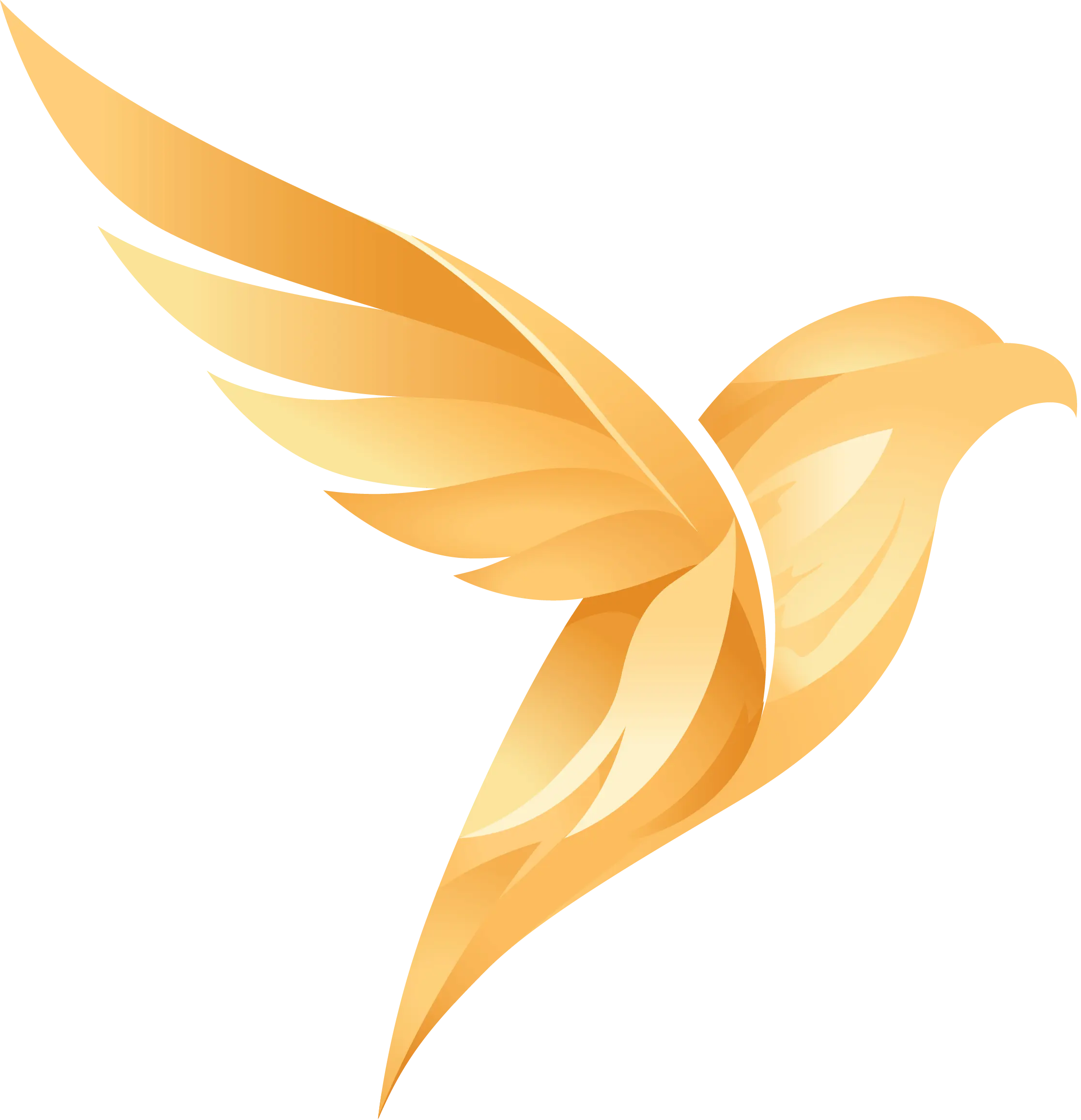 Chris Jarrett Real Estate